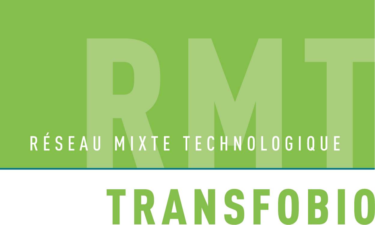 Logo RMT Transfobio