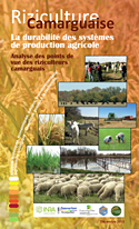 Document - Riziculture camarguaise : La durabilité des systèmes de production agricole