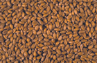 BIOPRESERVGRAIN </br>Protection des grains de céréales au cours du stockage : utilisation de substances naturelles actives formulées dans des matrices biosourcées 
